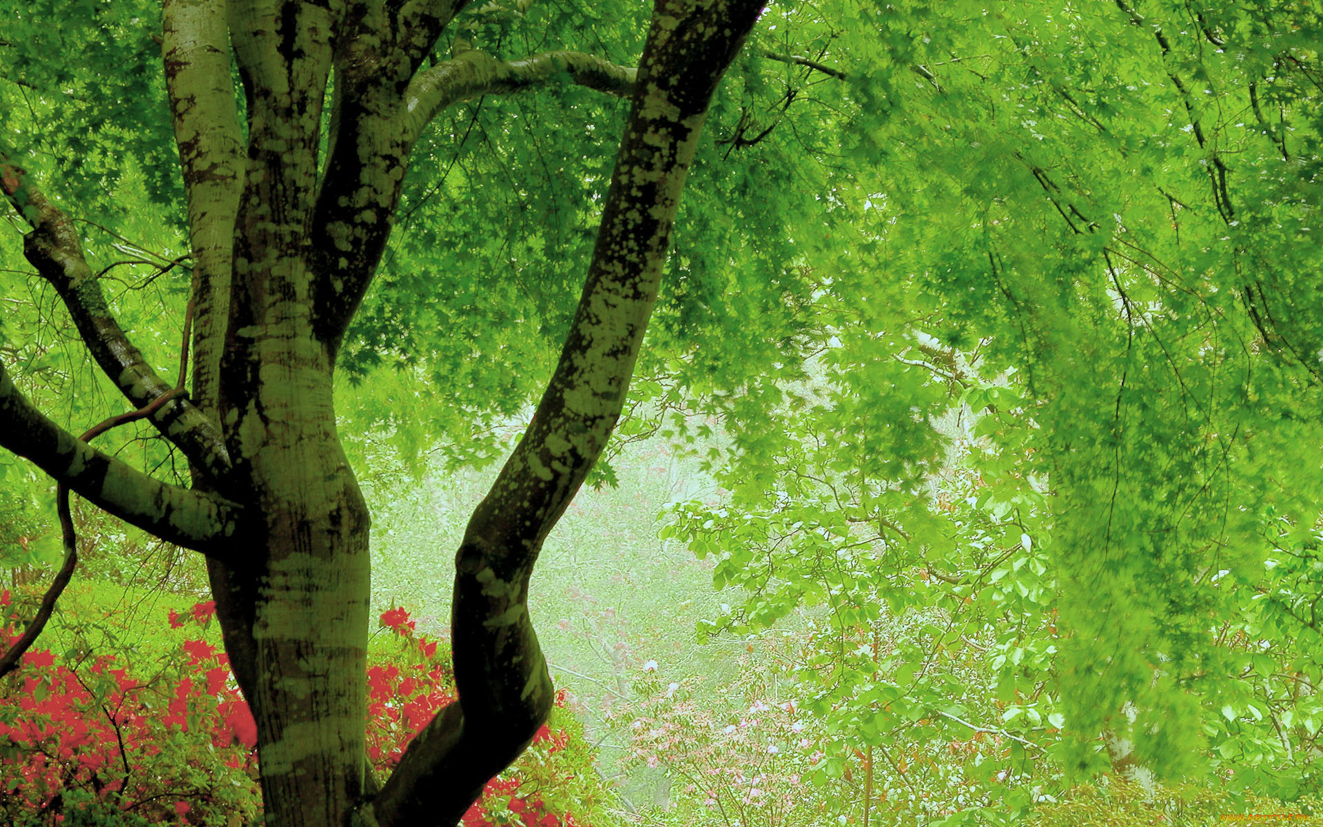 3, , nature, landscape, 